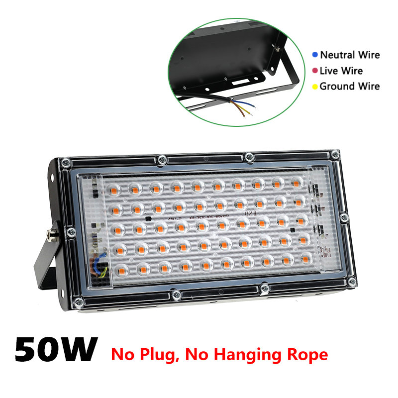 50W No Plug
